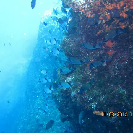 Mirko Diving Center 3* Barbat na Rabu