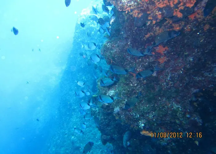 Mirko Diving Center 3* Barbat na Rabu