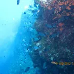 Mirko Diving Center 3* Barbat na Rabu