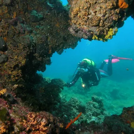 Mirko Diving Center Gasthof